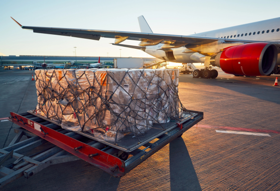Via aerea Trasporti import-export dogado